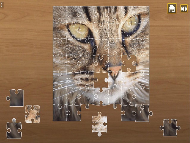 JIGSAW PUZZLE CLASSIC jeu en ligne | Jeux POMU